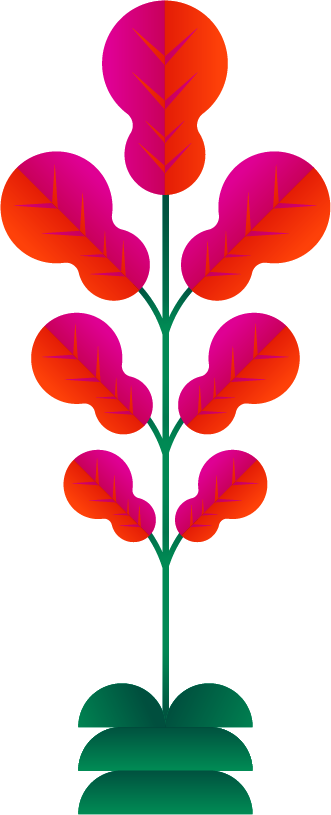 cinétoiles